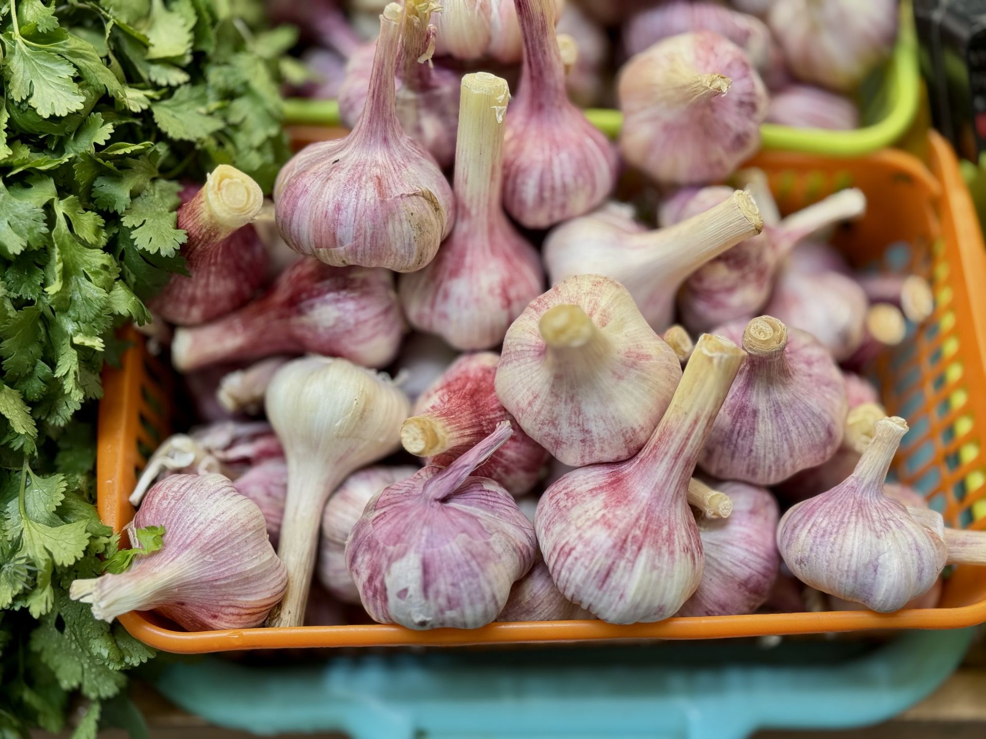 В Казани стартовала Международная торговая ярмарка Kazan Halal Market