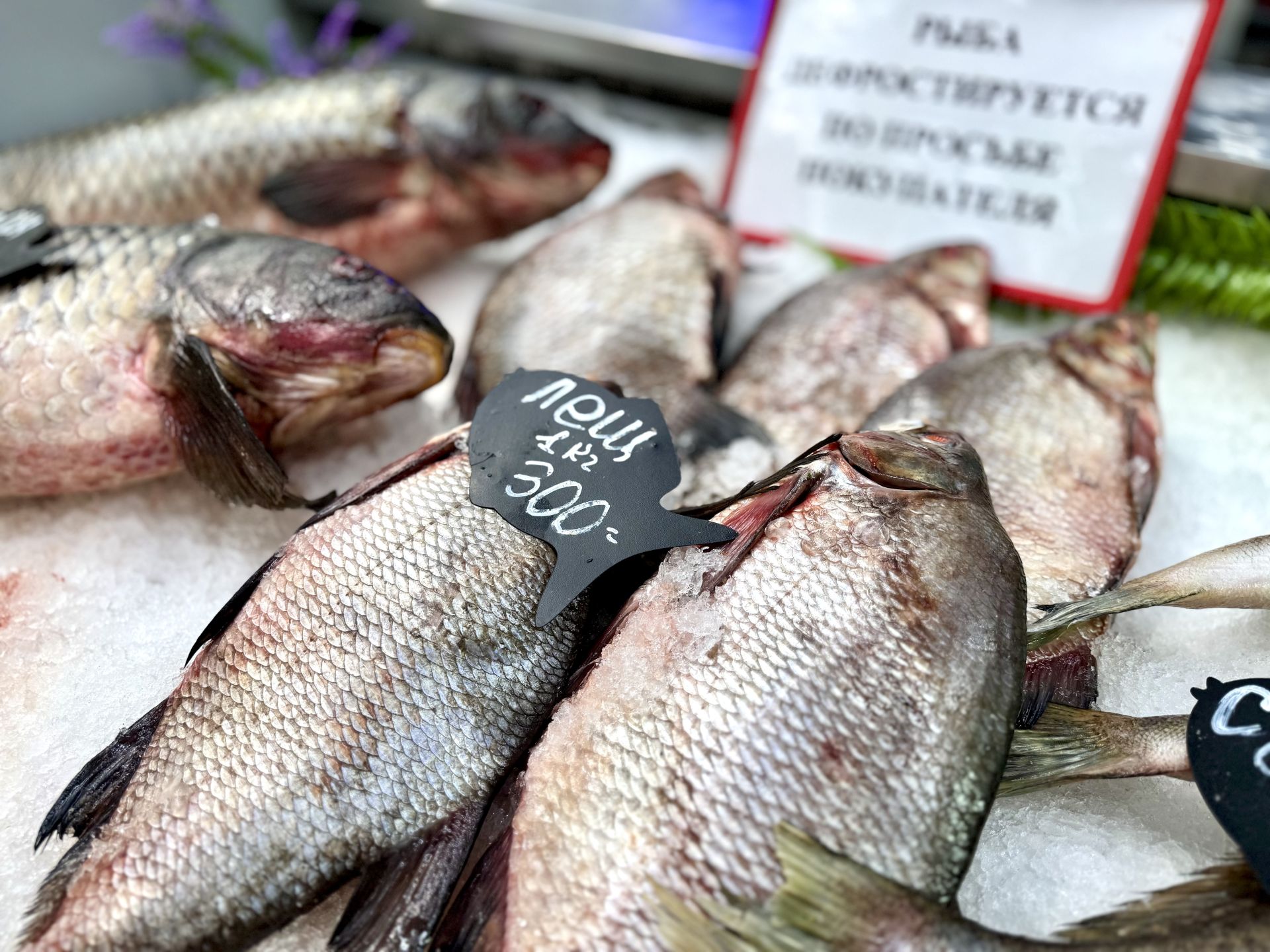 В Казани стартовала Международная торговая ярмарка Kazan Halal Market