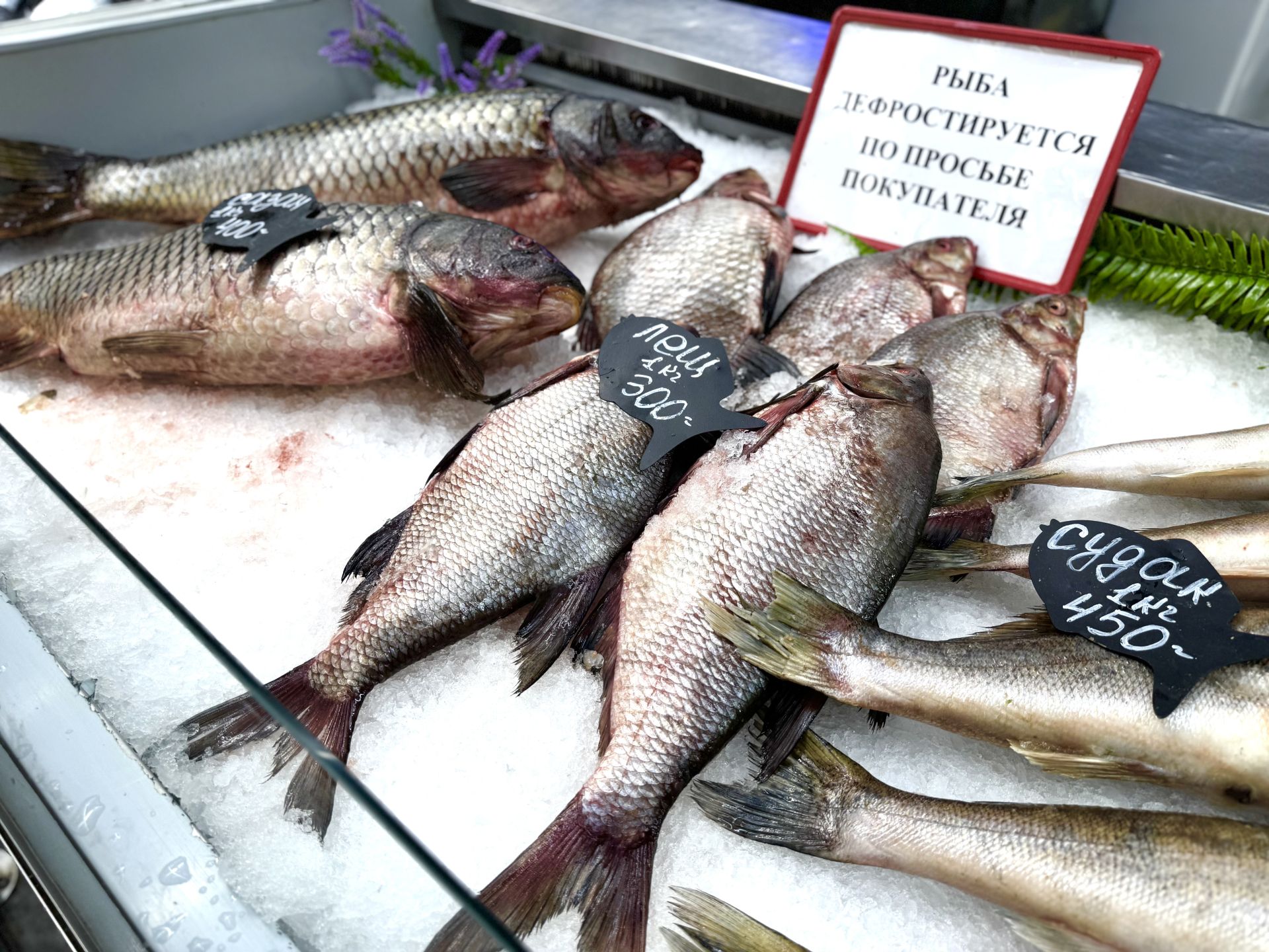 В Казани стартовала Международная торговая ярмарка Kazan Halal Market