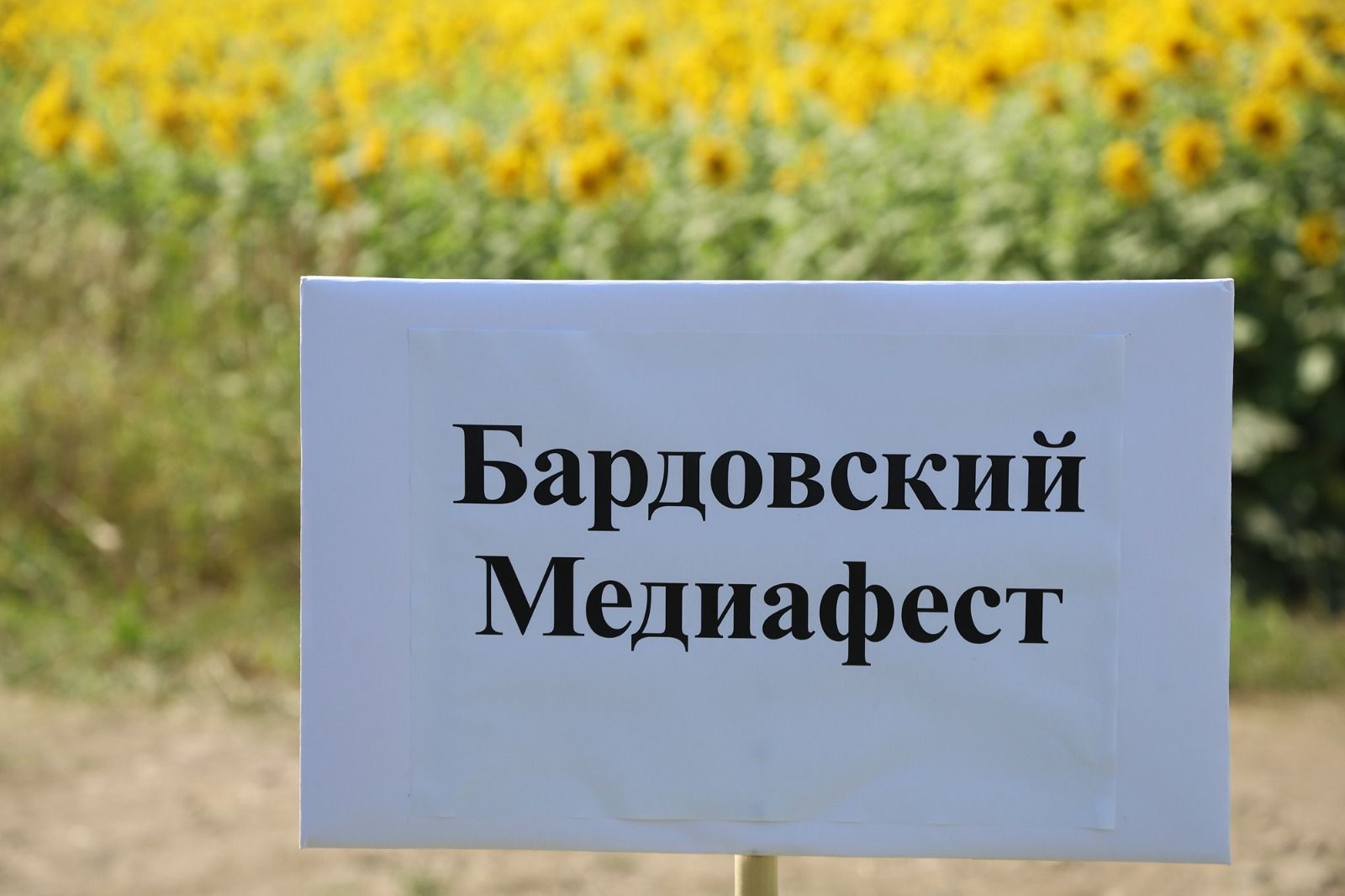 В Татарстане прошел первый Бардовский Медиафест