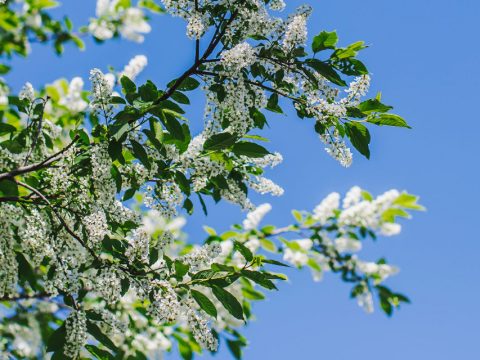 Весна. Всё включено