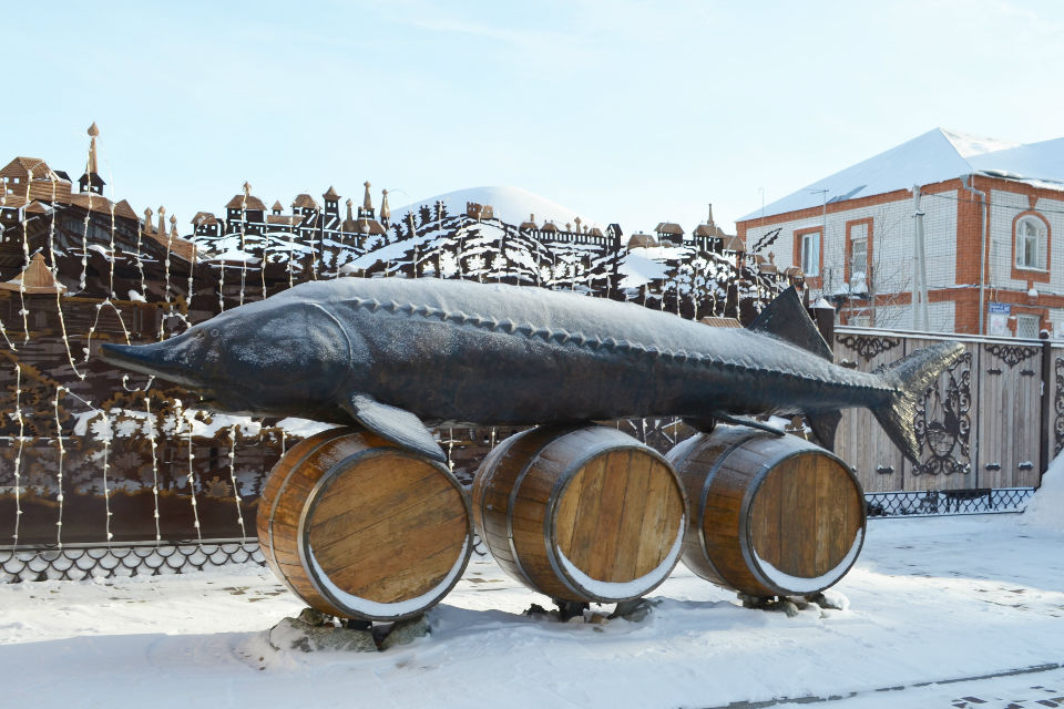 Чудо‑юдо рыба-кит: о раритетах тетюшского музея