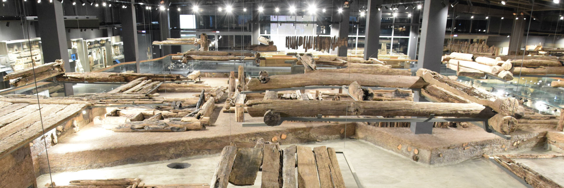 Музей археологии дерева в Cвияжске