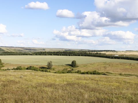 Кирменчук: райский уголок с жестоким прошлым