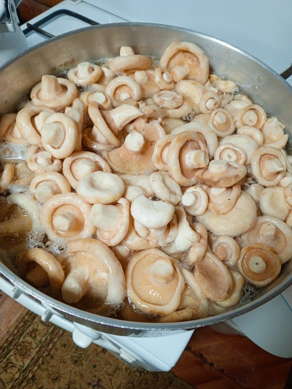 Гөмбә күп!