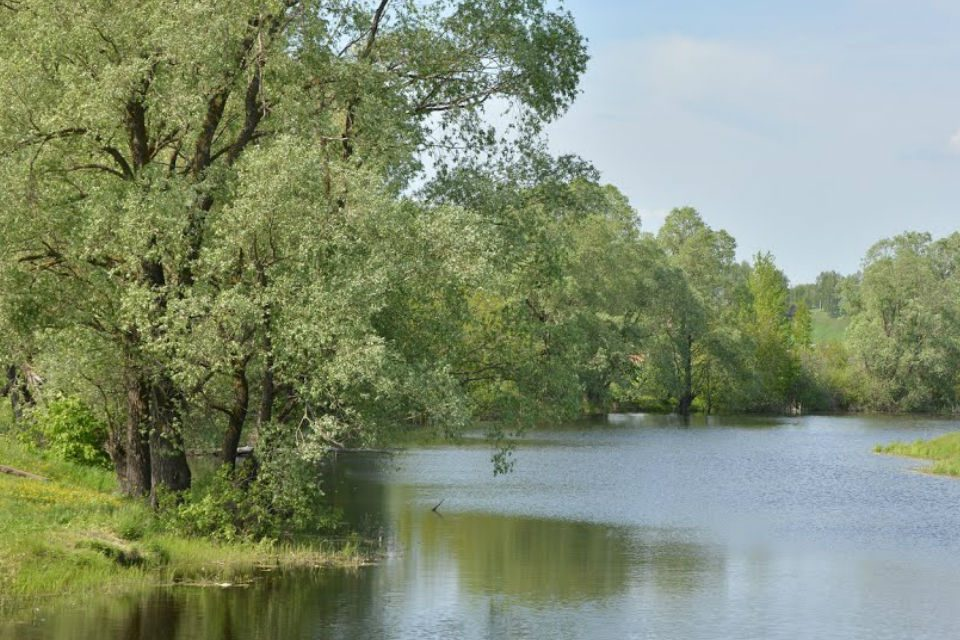 Красноярский пастушок