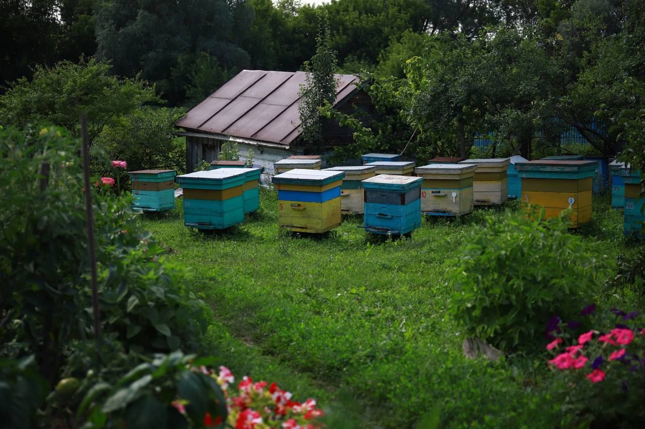 Күп калмады инде көзгә дә...