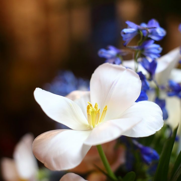 94805077-d534-46c8-a4d0-b9635008fd56