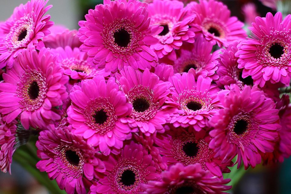 c37f77f9-7965-403a-aa60-3639902143b2
