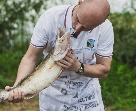 Камский судак и его туристические особенности