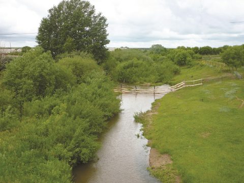 Каргада карга юк