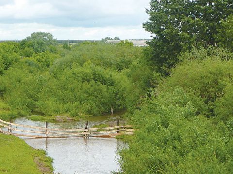 Каргада карга юк