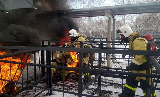 Более 20 татарстанцев поборются в компетенции WorldSkills «Спасательные работы»