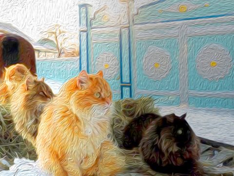 Аняково: родина "железных" людей