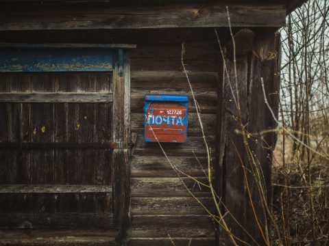 Травкино: в поисках зелёной травы