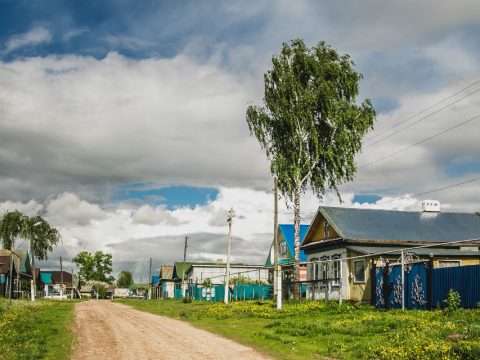 Пычаксыз Пычаклылар
