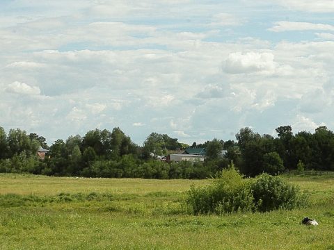 Минзәлә Аюы