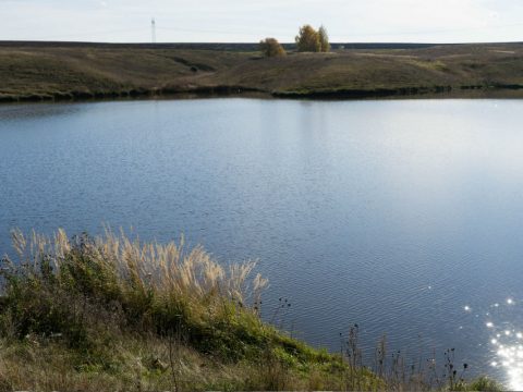 Балыклы күлендә ниләр бар?