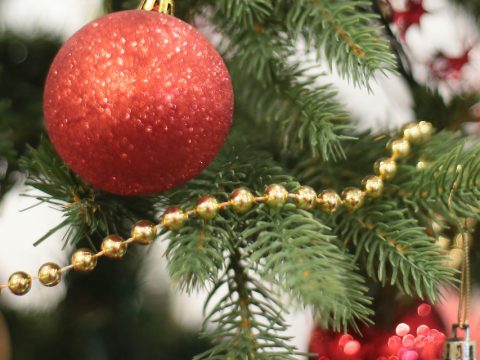 С наступающим Новым годом!
