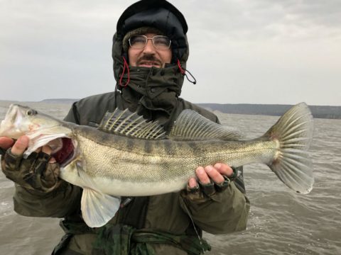 Сколько рыбы выловили из Волги и Камы рыбаки Татарстана