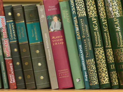 Книжная полка