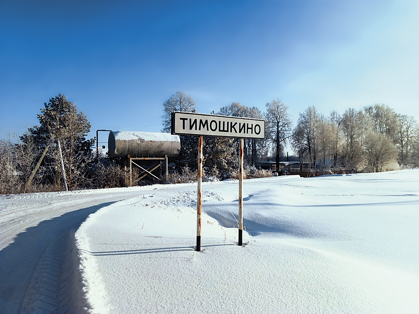 Тимошкино. Родина большого пса