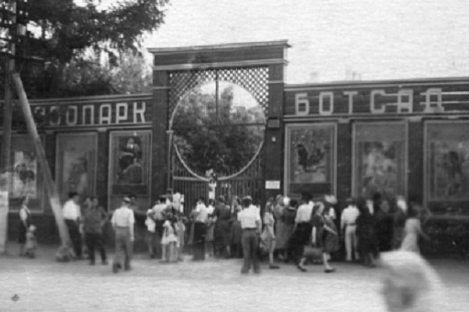 Война и зоопарк: где приютили зверей из блокадного Ленинграда