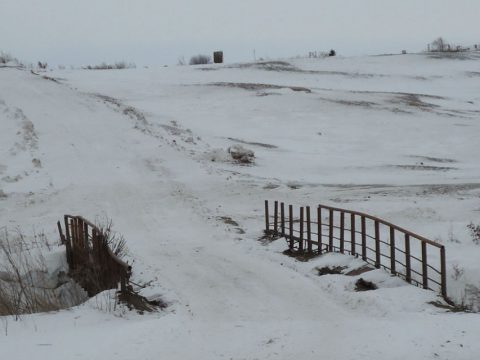 Танино: ужель, та самая Татьяна?