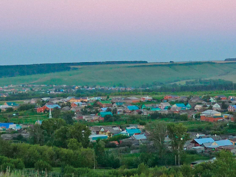Урок от соседей
