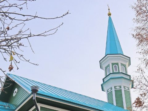 Олы Елга