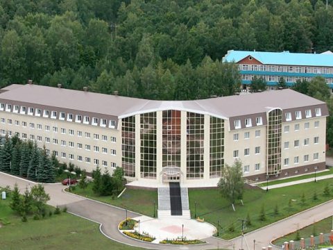 «ИВОЛГА»: ШЕСТЬ СЛАГАЕМЫХ УСПЕХА