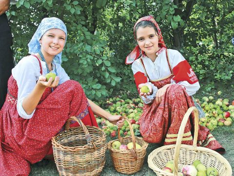 Возвращение в яблочный рай