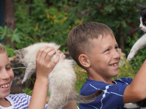 Күп балалы гаилә: