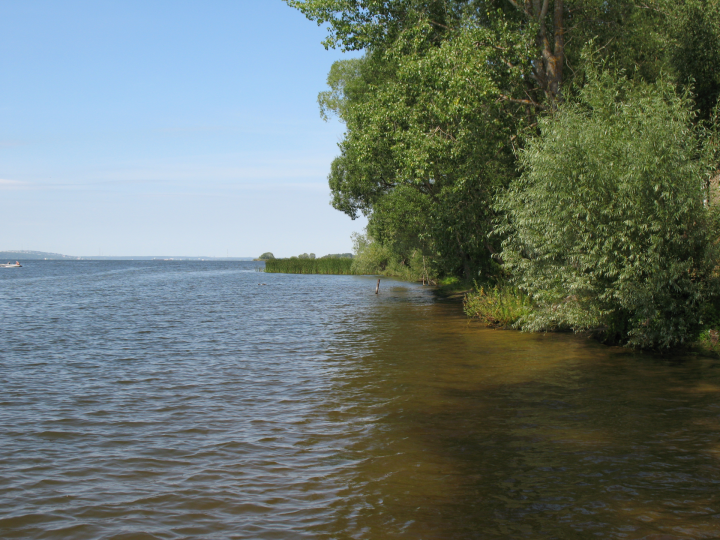 Пляж "Зеленый бор" в Казани